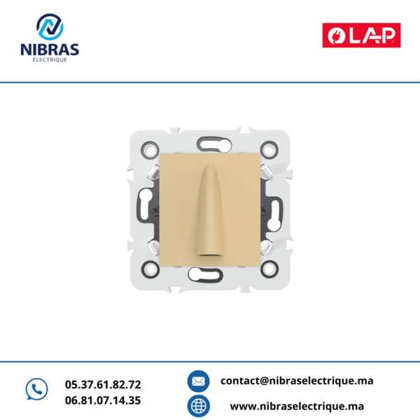 SORTE DE FIL VERTICALE SERRE CABLE CAPPUCCINO