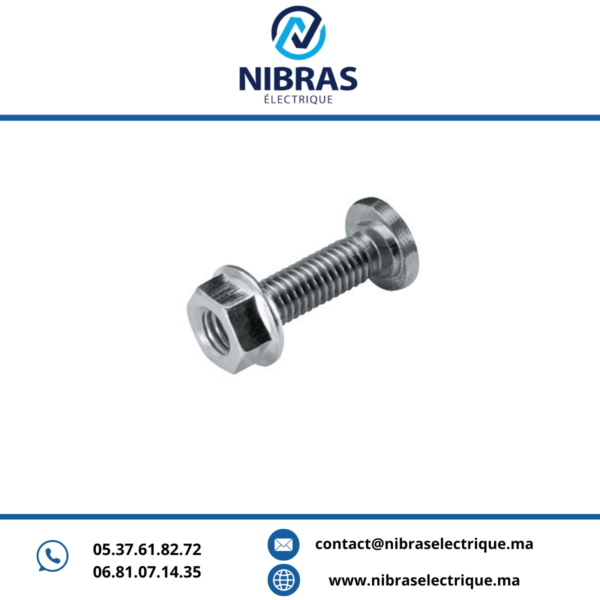 VIS POILIER CADMIE 6X10 +ECROU