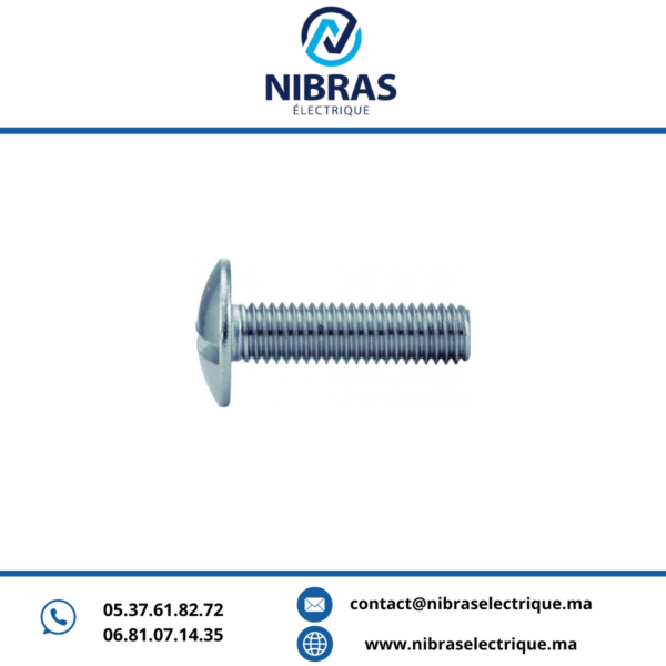 VIS POILIER CADMIE 6X30