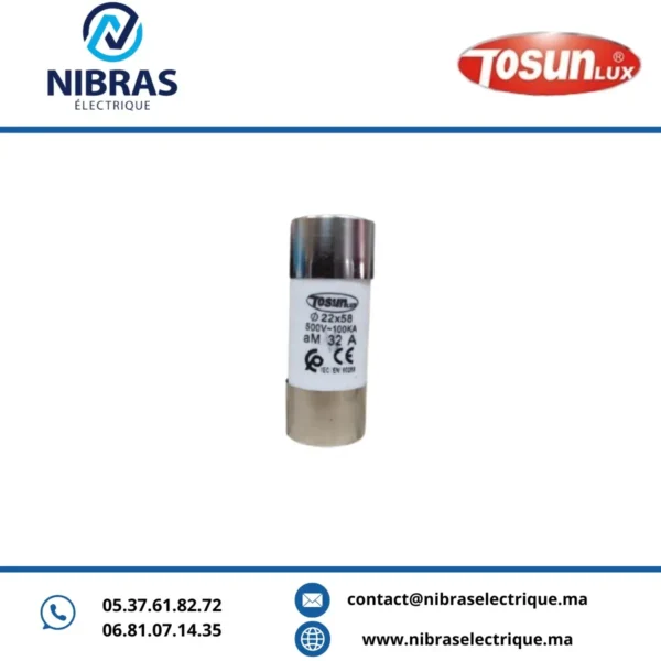 FUSIBLE CARTOUCHE (AM) 22X58 32A TOSUN