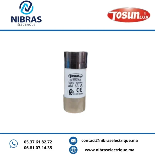 FUSIBLE CARTOUCHE (AM) 22X58 63A TOSUN