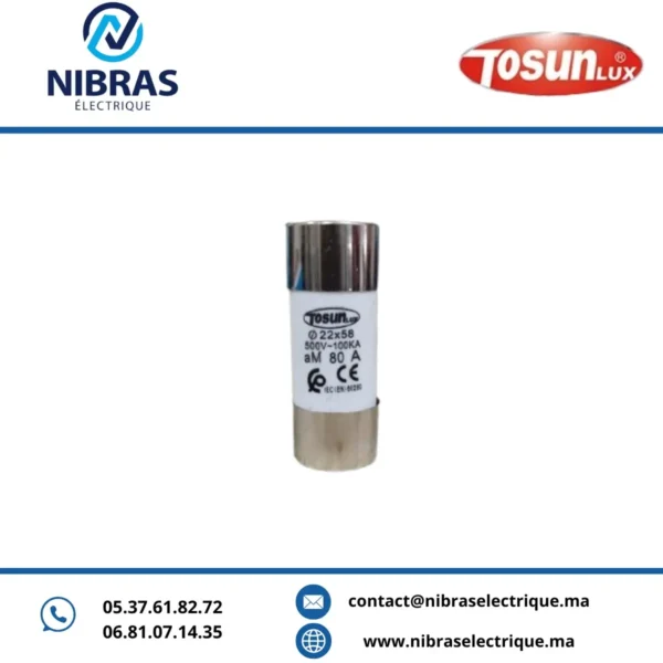 FUSIBLE CARTOUCHE (AM) 22X58 80A TOSUN