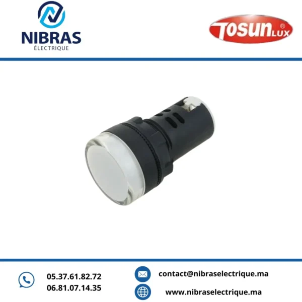 VOYANT LED AD 22-22 240V BLANC TOSUN