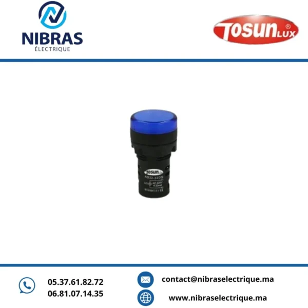 VOYANT LED AD 22-22 240V BLEU TOSUN
