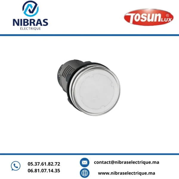 VOYANT LED AD 22-22 240V JAUNE TOSUN