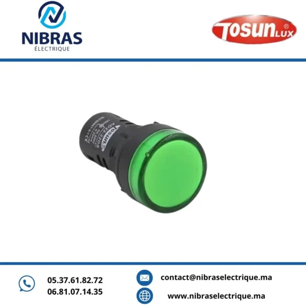 VOYANT LED AD 22-22 240V VERT TOSUN