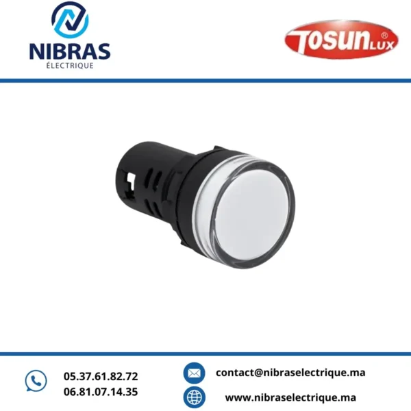 VOYANT LED AD 22-22 24V BLANC TOSUN