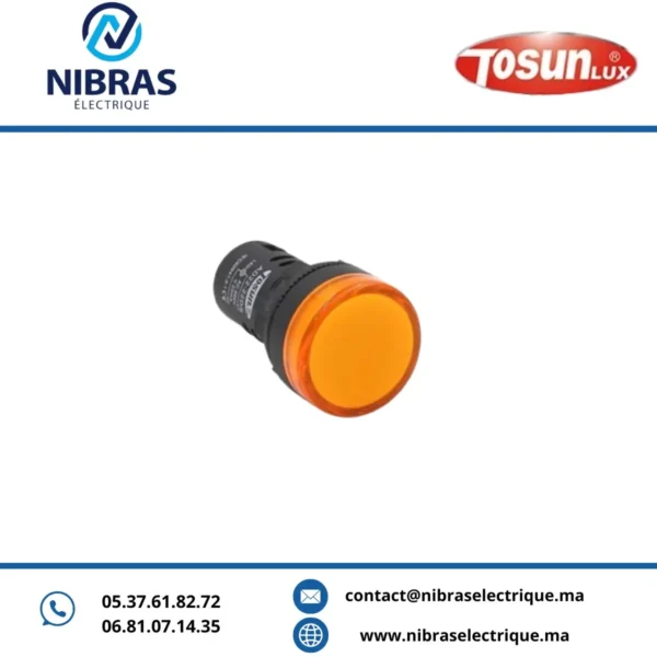 VOYANT LED AD 22-22 24V ORANGE TOSUN