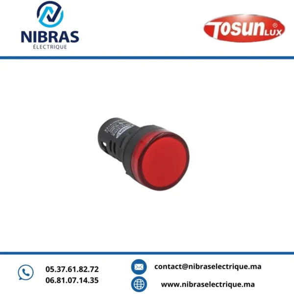 VOYANT LED AD22-22DS 12V DC ROUGE TOSUN