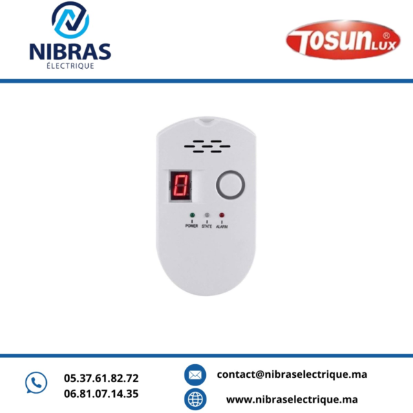 DETECTEUR DE GAZ BUTANE-PROPANE LX-GSV8 TOSUN