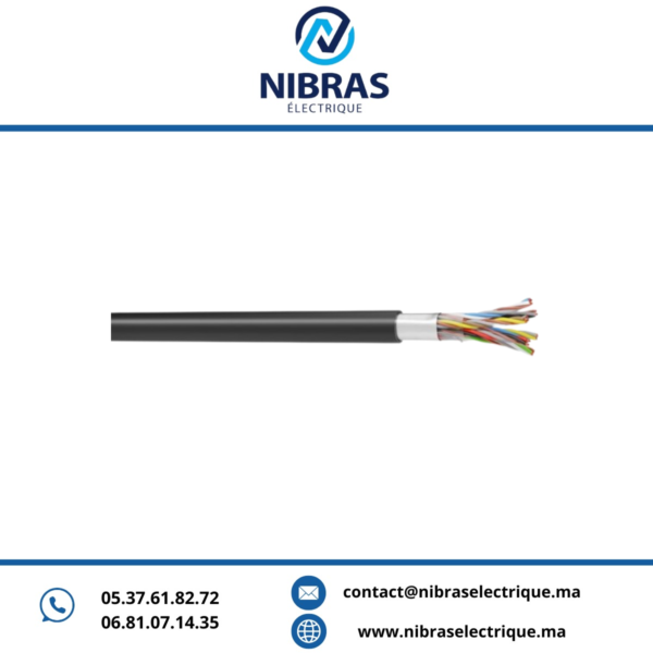 CABLE SIGNALISATION 8 PAIRE