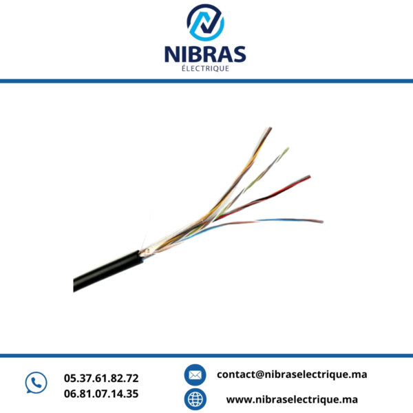 CABLE TELEPHONE 8 PAIRE 6/10