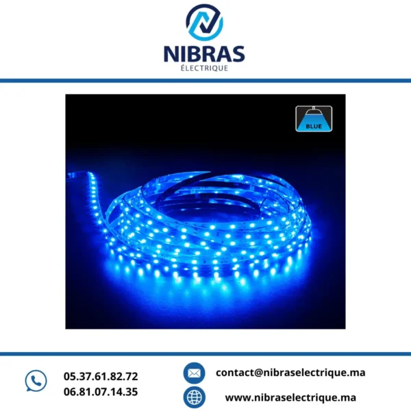 HALWISS STRIP LIGHT 3528 20CM BLUE 15W