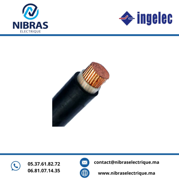 Câble U1000RO2V 1*150mm² ING