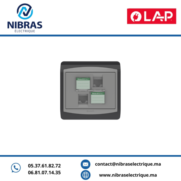 DOUBLE PRISE RJ12 CAT.3 + OBTURATEURS GALAXY GRIS