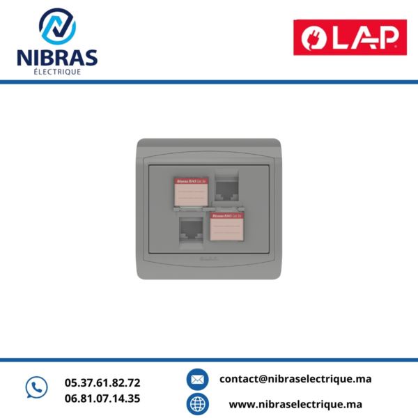 DOUBLE PRISE RJ45 CAT.5e + OBTURATEURS GRIS CLAIR