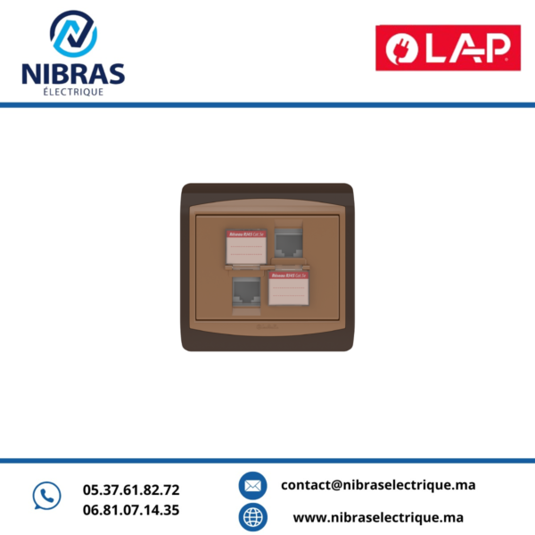 DOUBLE PRISE RJ45 CAT.5e + OBTURATEURS MARRON