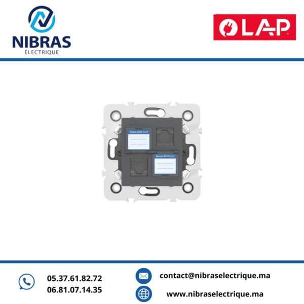 DOUBLE PRISE RJ45 CAT6+OBTURATEURS GRIS FONCE