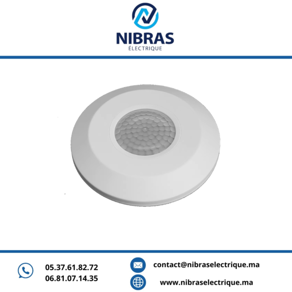 DETCTEUR MOUV APP 360 6M ES-P36A