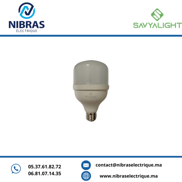 LAMPE LED E27 240V 6500K 20W