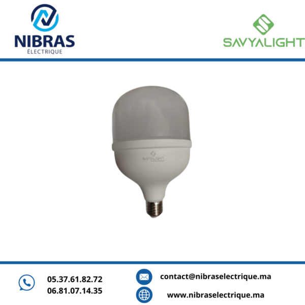 LAMPE LED E27 240V 6500K