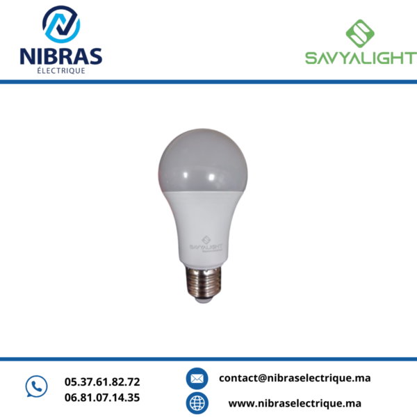 LAMPE LED GLS E27 240V A60-11W 6500K