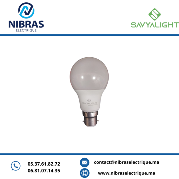 LAMPE LED GLS B22 240V A60-11W 6500K