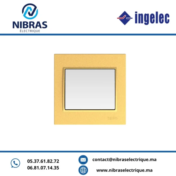 PLAQUE SIMPLE DORÉ SAFIR ingelec